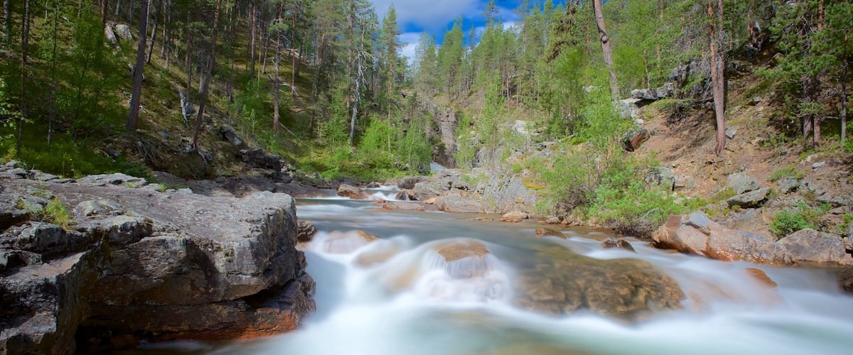Lemmenjoki Nationalpark welches beinhaltet Wälder, ruhige Szenerie und Stromschnellen