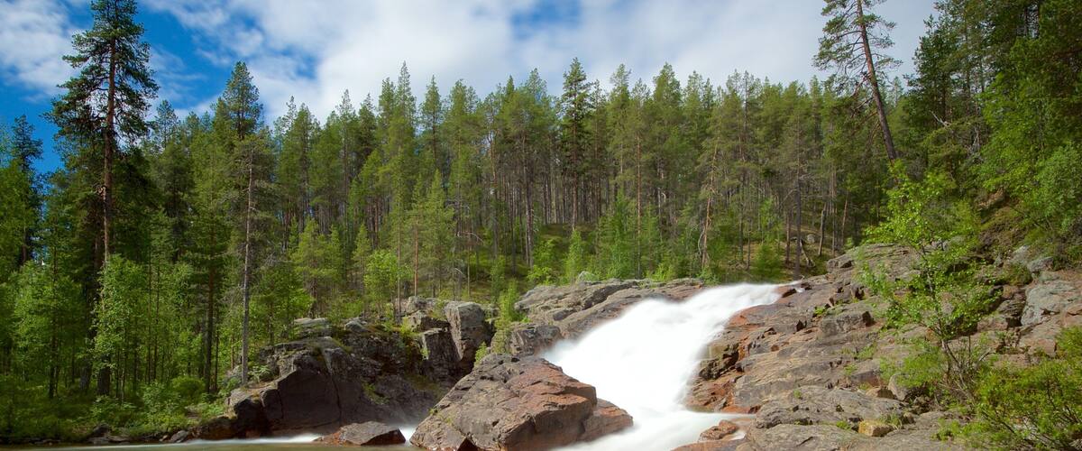 Parque nacional Lemmenjoki que incluye rápidos, escenas tranquilas y escenas forestales
