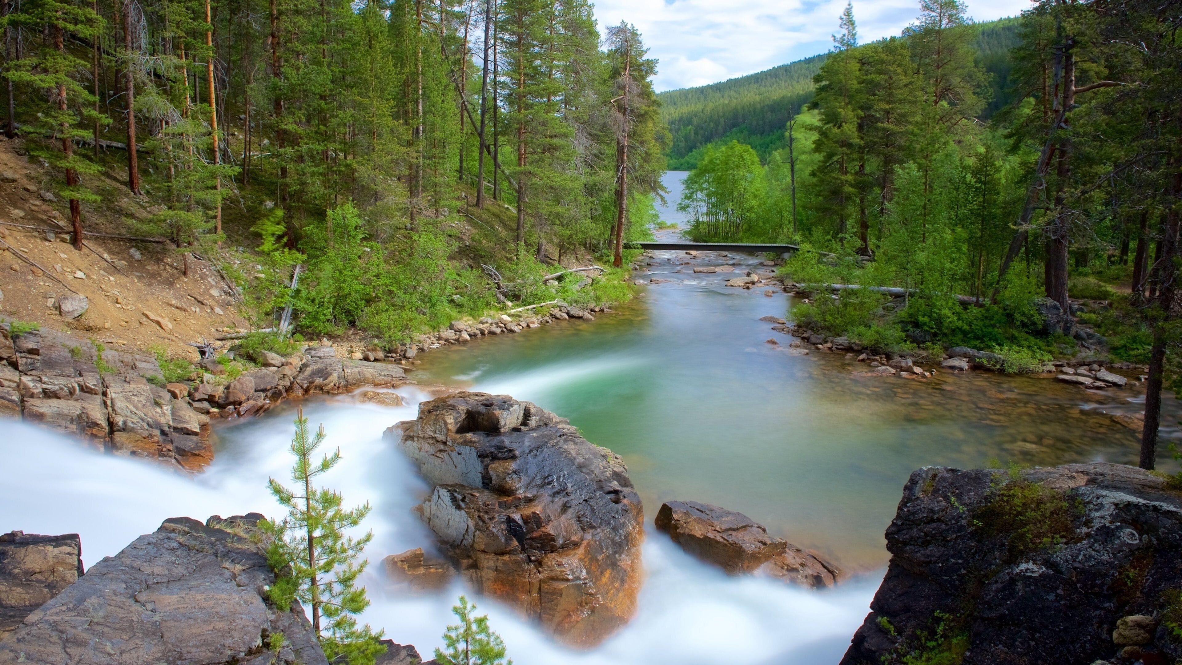 Un río que atraviesa un bosque, con un puente a lo lejos.
