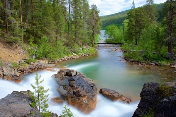 A river flowing through a forest with a bridge in the distance.