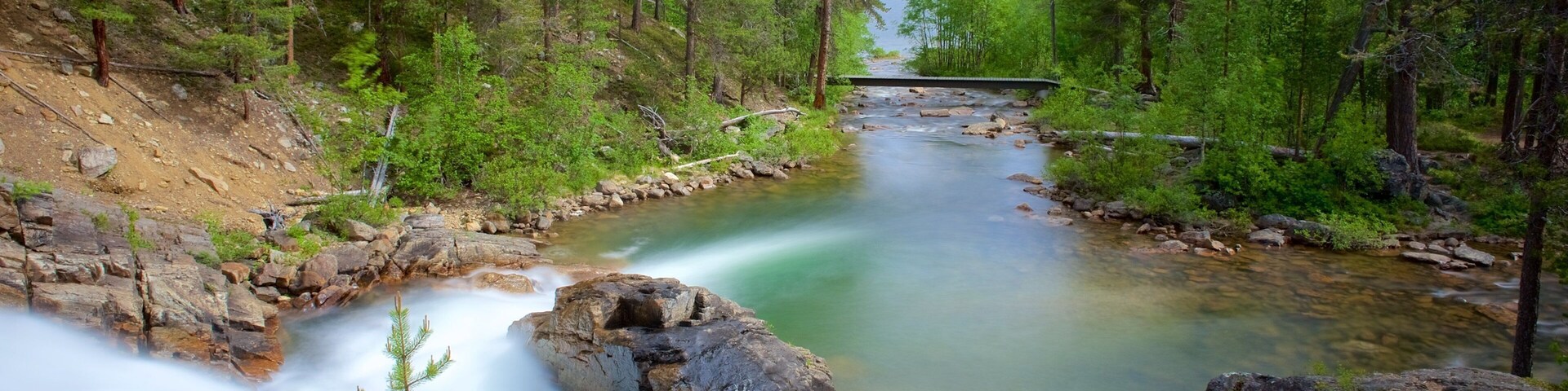 Un río que atraviesa un bosque, con un puente a lo lejos.