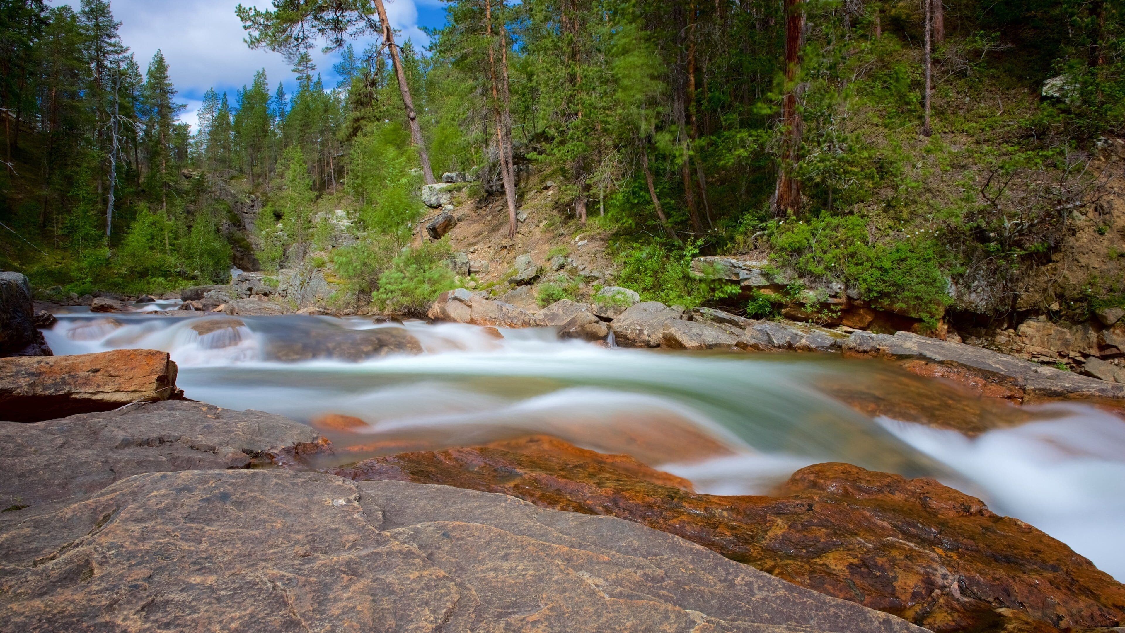 Lemmenjoki nationalpark presenterar en Ă„ eller flod, stillsam natur och forsar