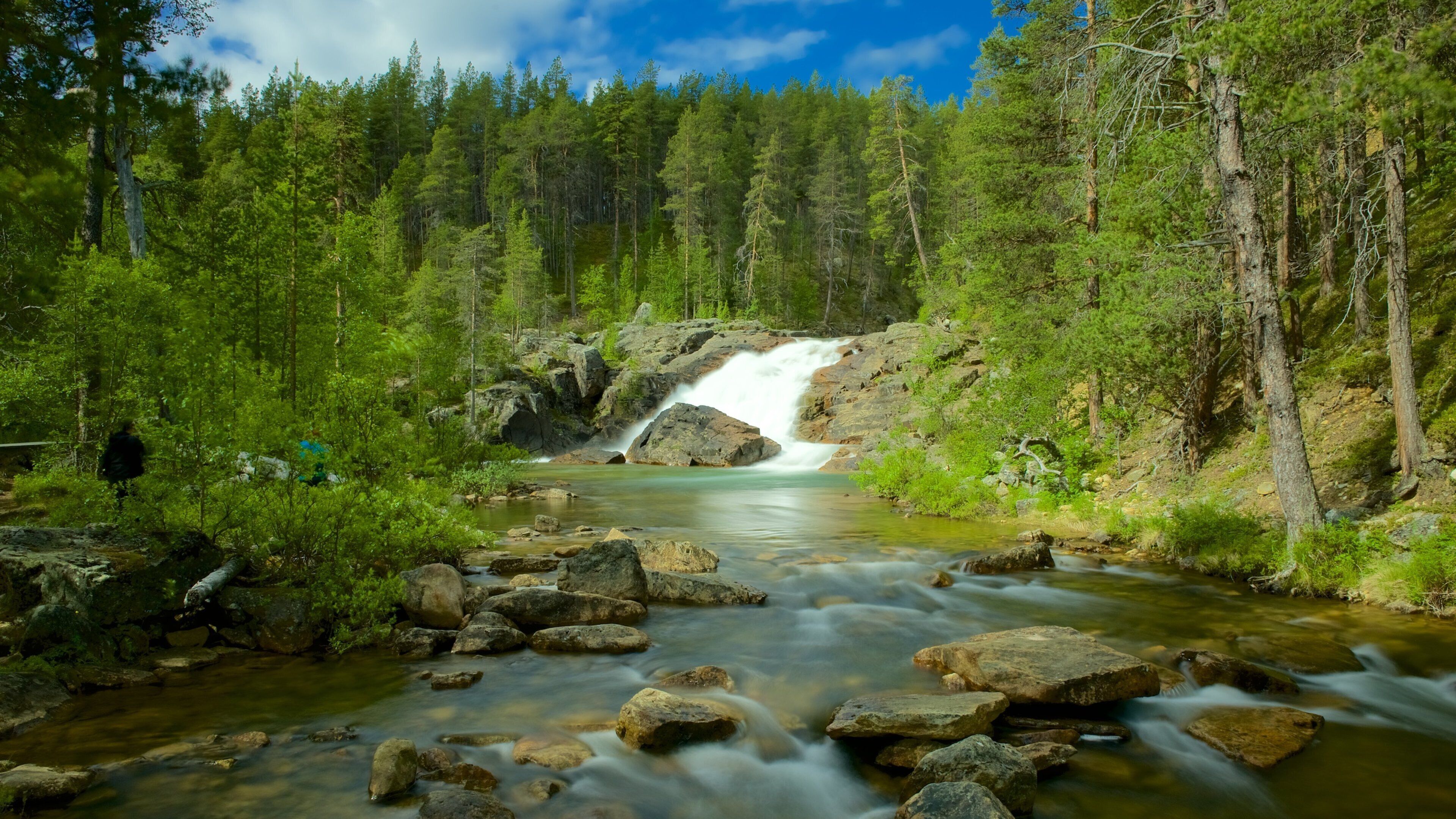 Lemmenjoki National Park showing rapids, forest scenes and a river or creek