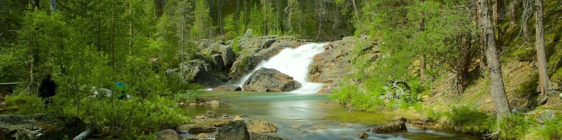 Lemmenjoki National Park showing rapids, forest scenes and a river or creek