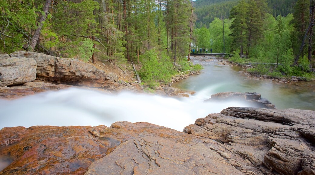 Parque Nacional de Lemmenjoki mostrando cenas tranquilas, cĂłrrego e um rio ou cĂłrrego