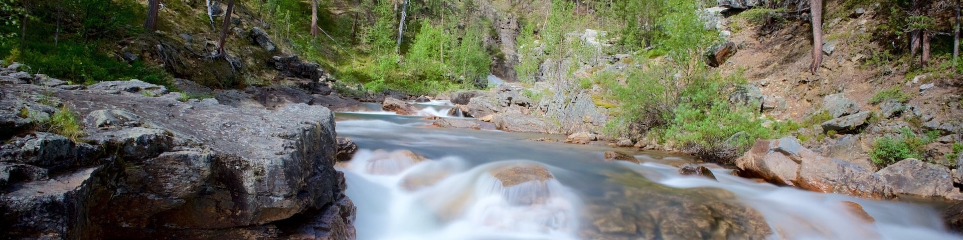 Lemmenjoki National Park showing rapids, tranquil scenes and forests