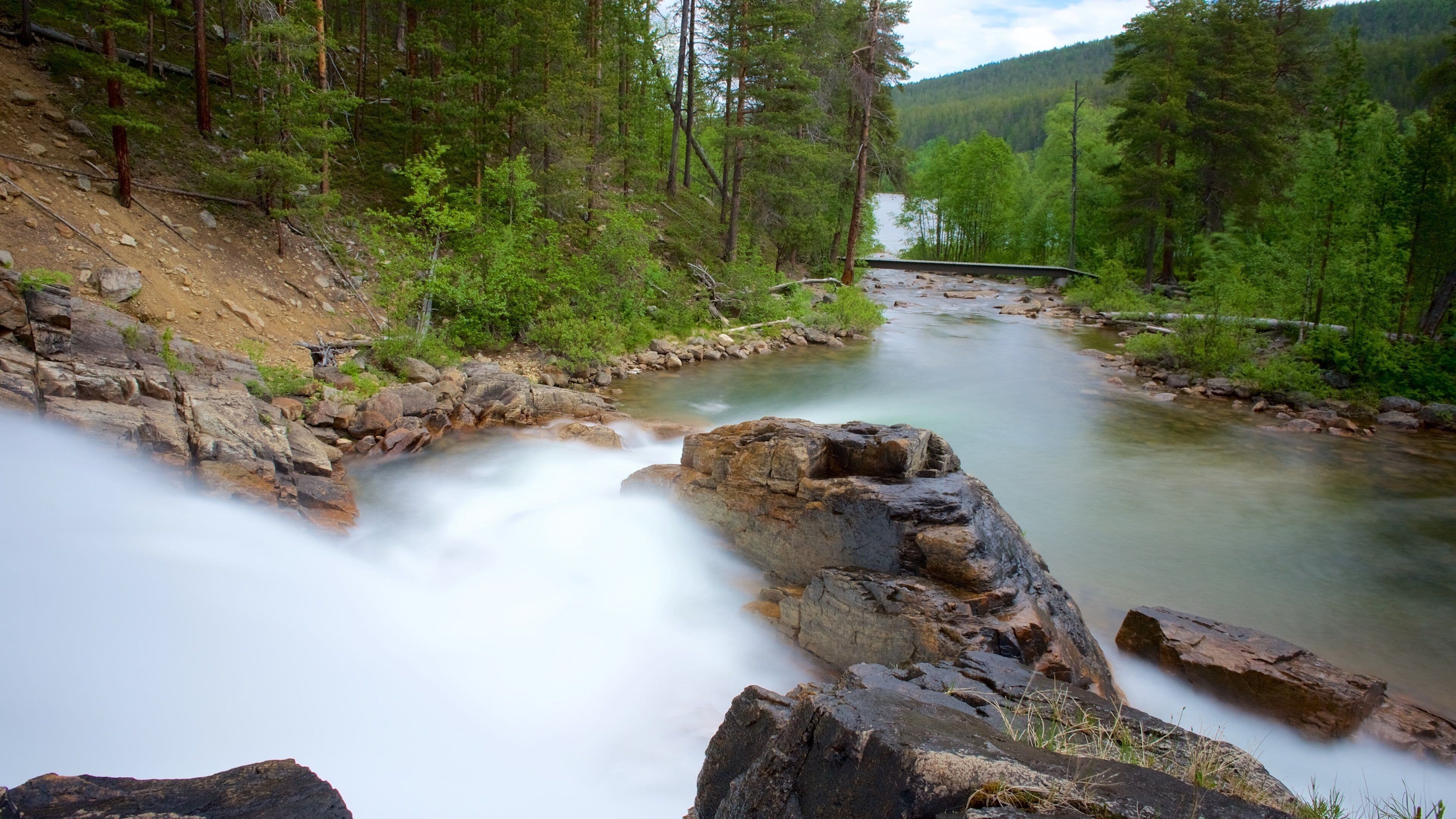 A river flowing through a forest with a bridge in the distance.