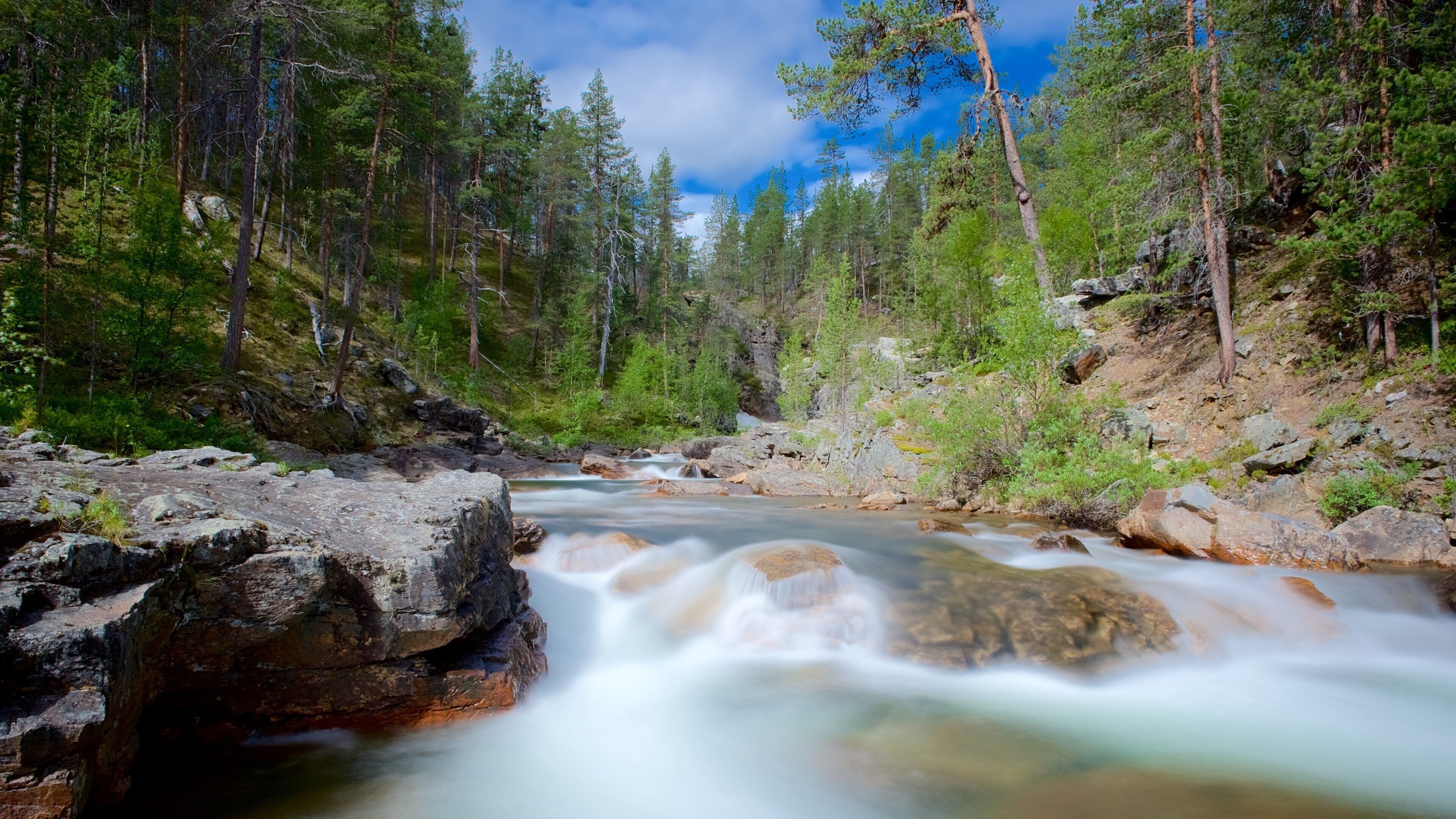 Lemmenjoki National Park showing forests, rapids and tranquil scenes