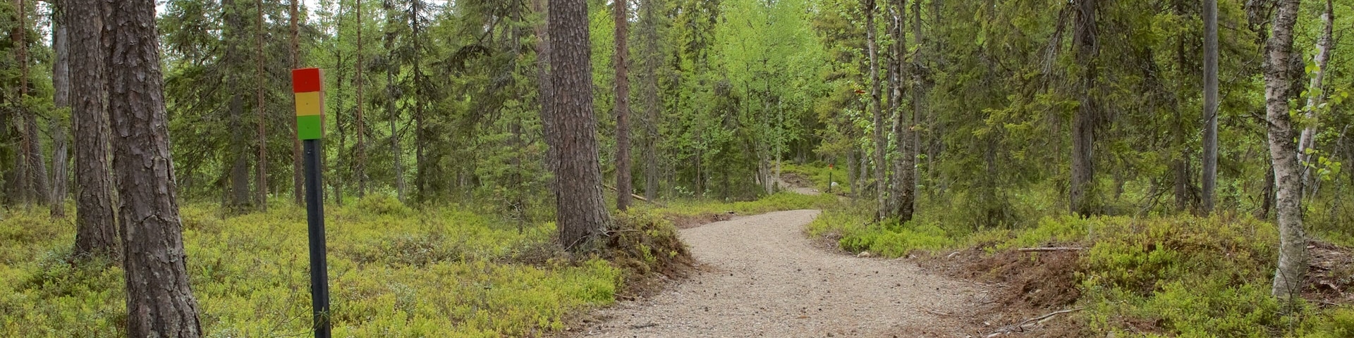 Pyha-Luosto Nationalpark mit einem ruhige Szenerie und Wälder