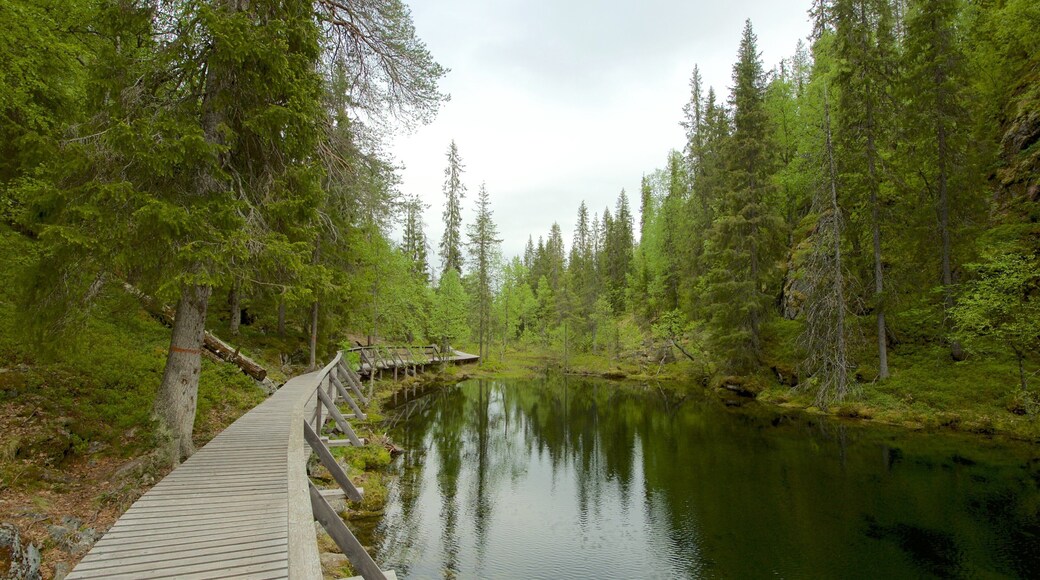 PyhÀ-Luoston kansallispuisto johon kuuluu jÀrvi tai vesikuoppa ja metsÀt