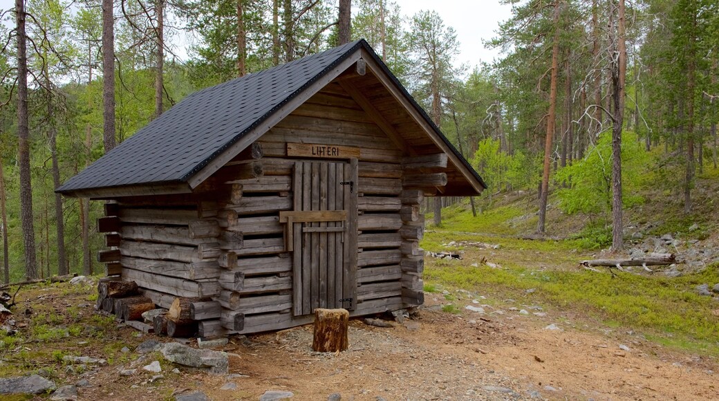 Pyha-Luosto National Park which includes forests