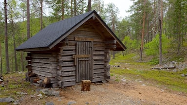 Parc National Pyha-Luosto