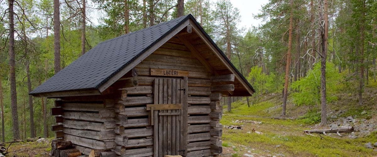 A rustic wooden cabin labeled "LITTERI" in a forested area with a dirt path leading to it.