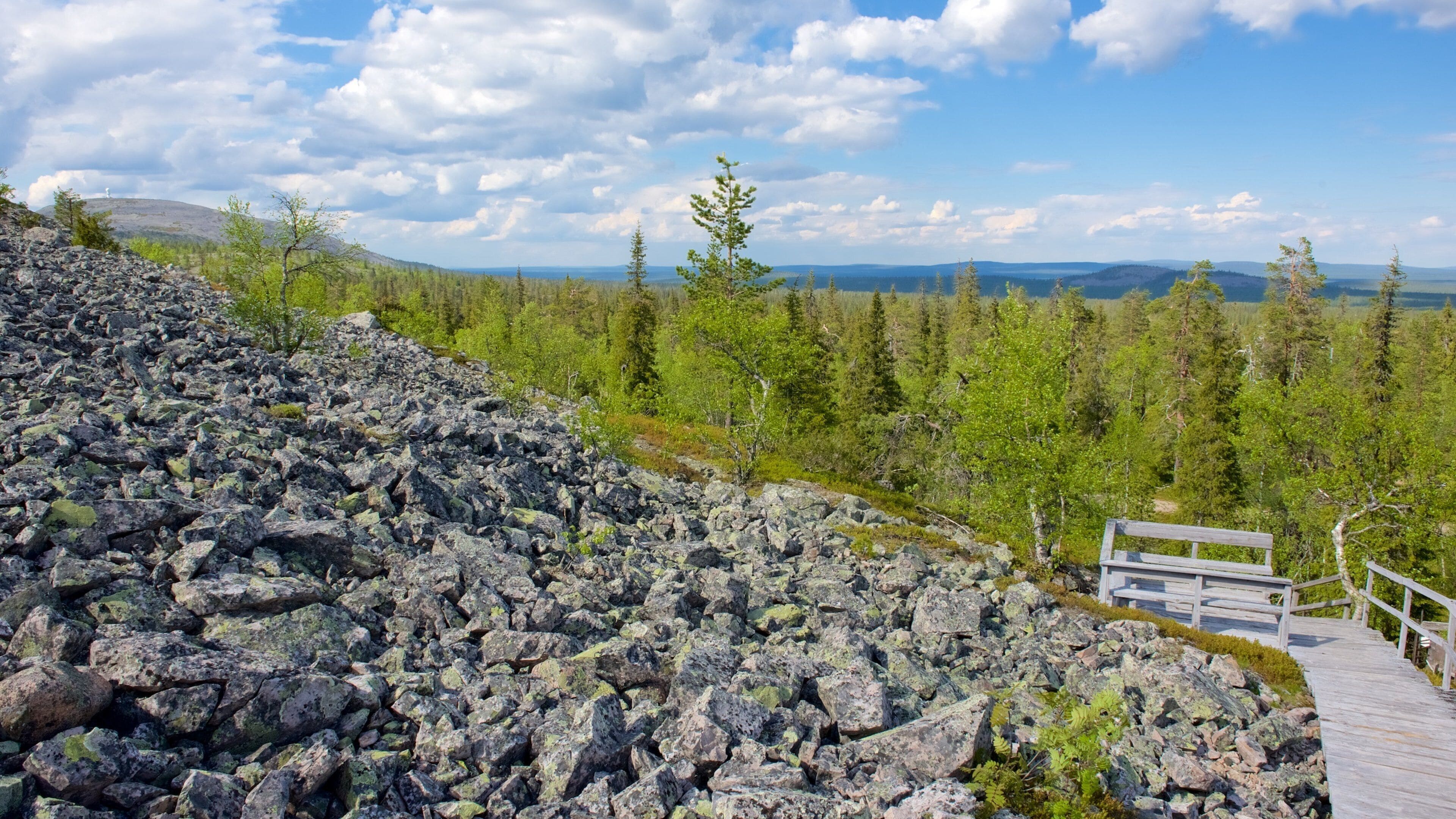 A rocky terrain with a wooden walkway leading through a forest.