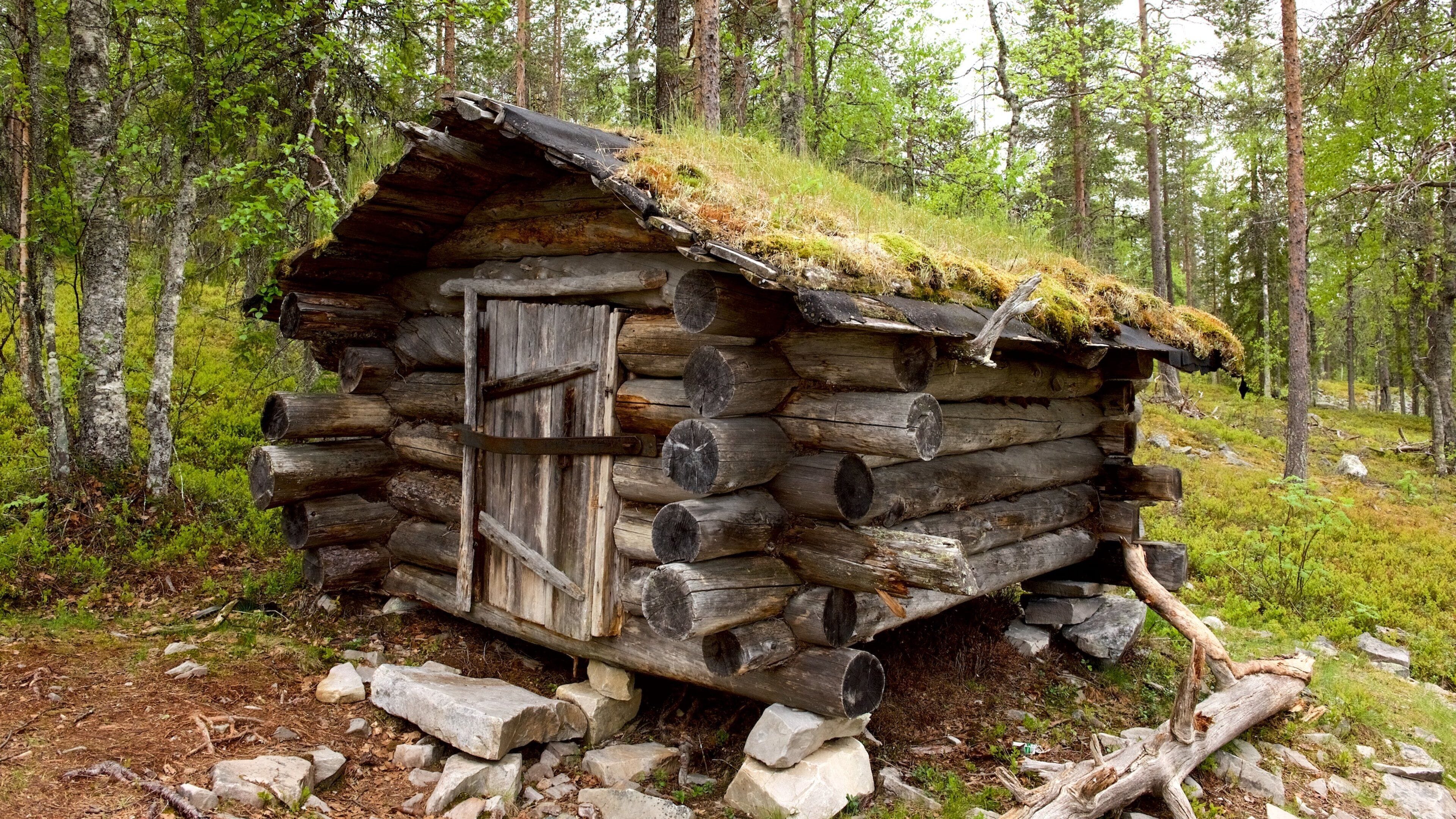 Pyhä-Luosto nasjonalpark som viser skog