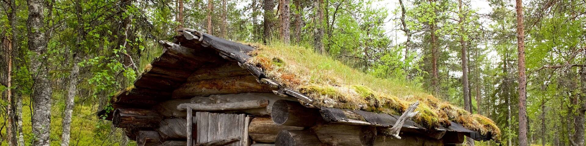 A rustic log cabin with a moss-covered roof, surrounded by a forest.