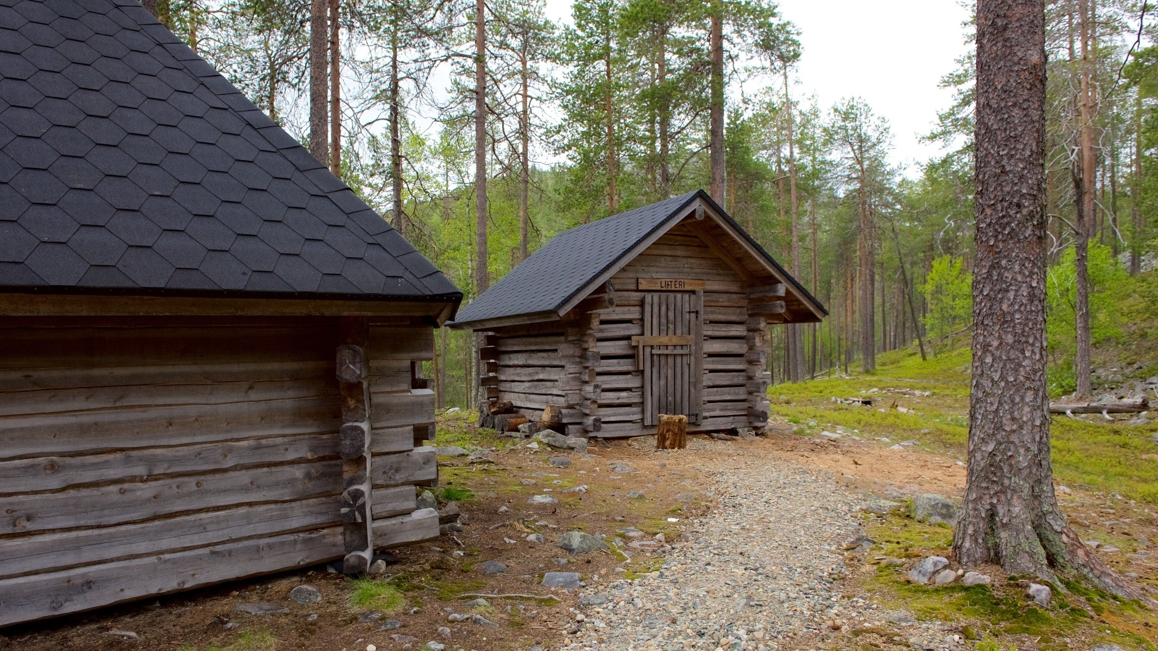 A wooden cabin with a hexagonal roof in a forest.
