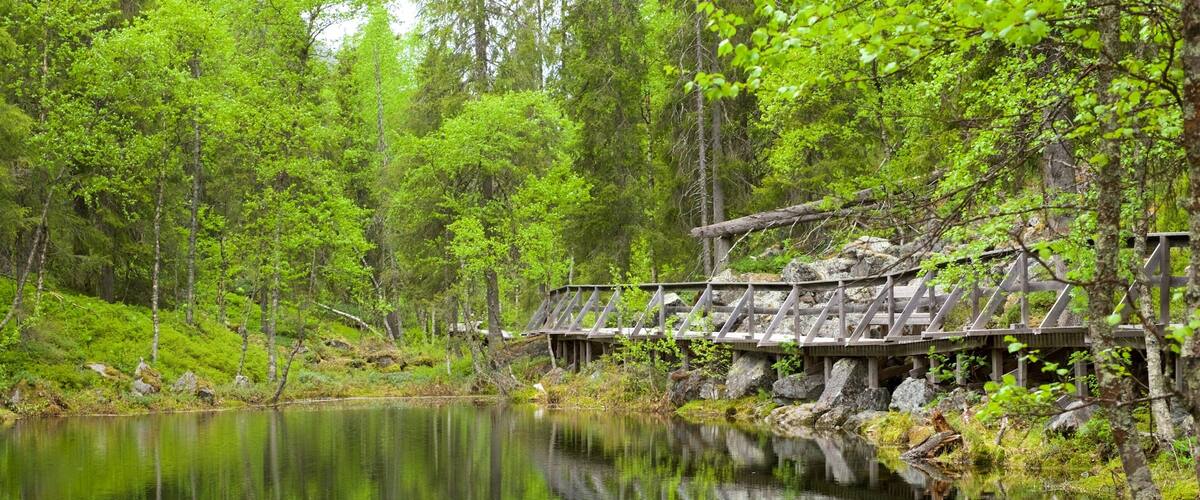 PyhÀ-Luosto National Park which includes a river or creek, a bridge and forests