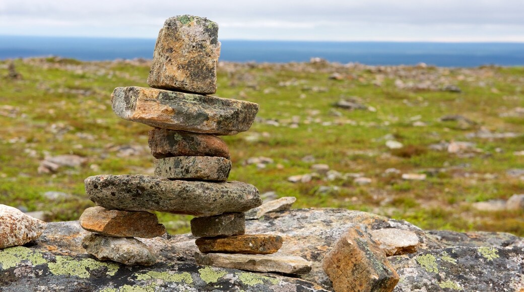 Urho Kekkonen National Park which includes tranquil scenes