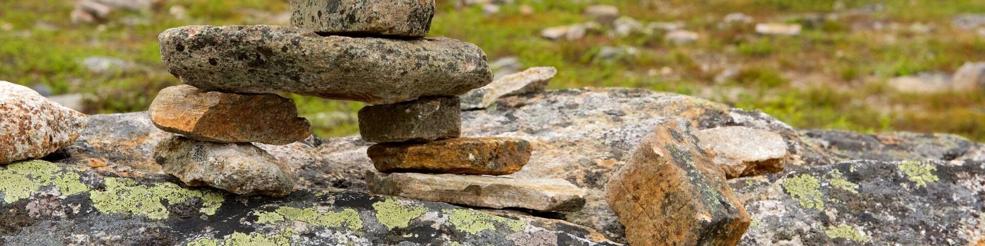 Urho Kekkonen National Park which includes tranquil scenes