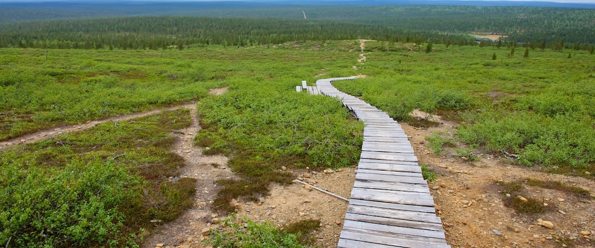 Urho Kekkonen National Park showing landscape views, tranquil scenes and a bridge