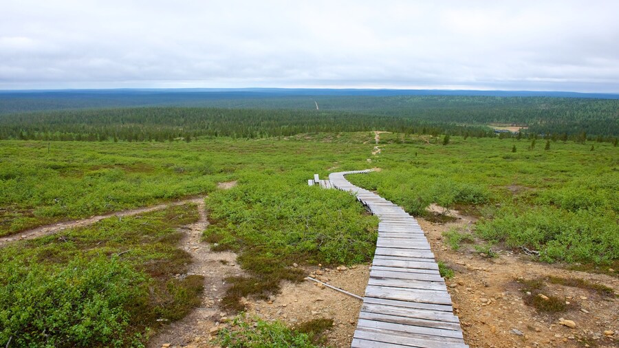 Urho Kekkonen National Park showing landscape views, tranquil scenes and a bridge