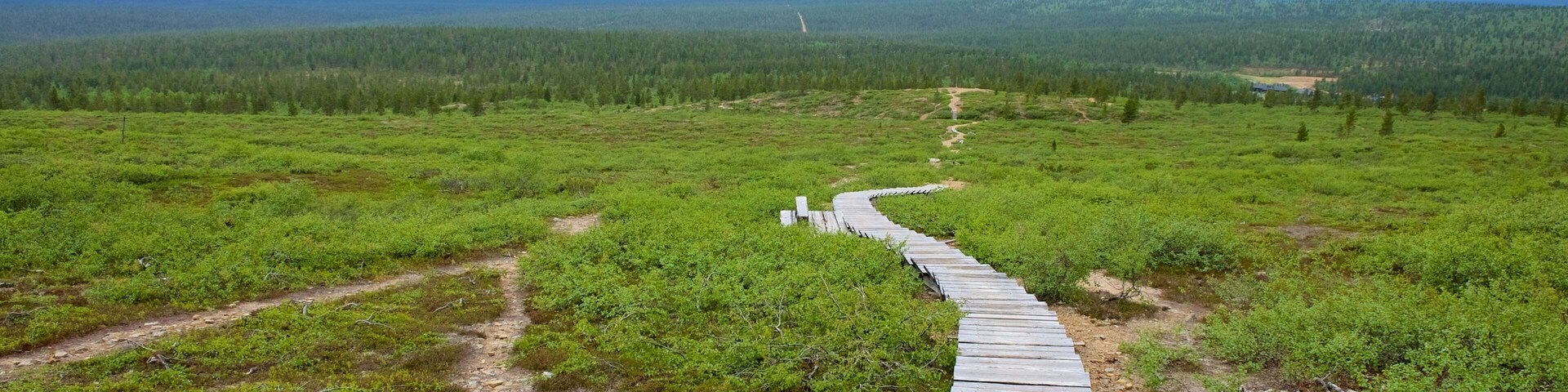 Urho Kekkonen National Park showing landscape views, tranquil scenes and a bridge