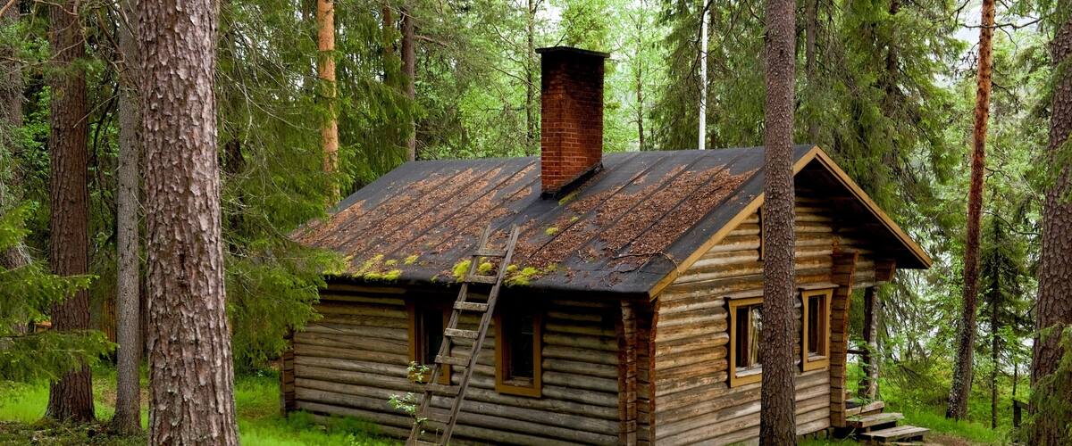 Pallas-Yllästunturin kansallispuisto joka esittää metsät ja talo