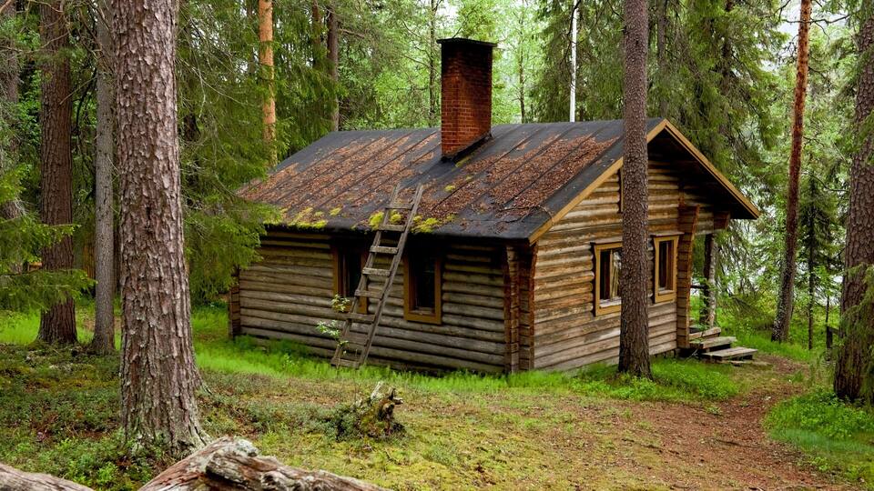 A rustic log cabin surrounded by dense forest.