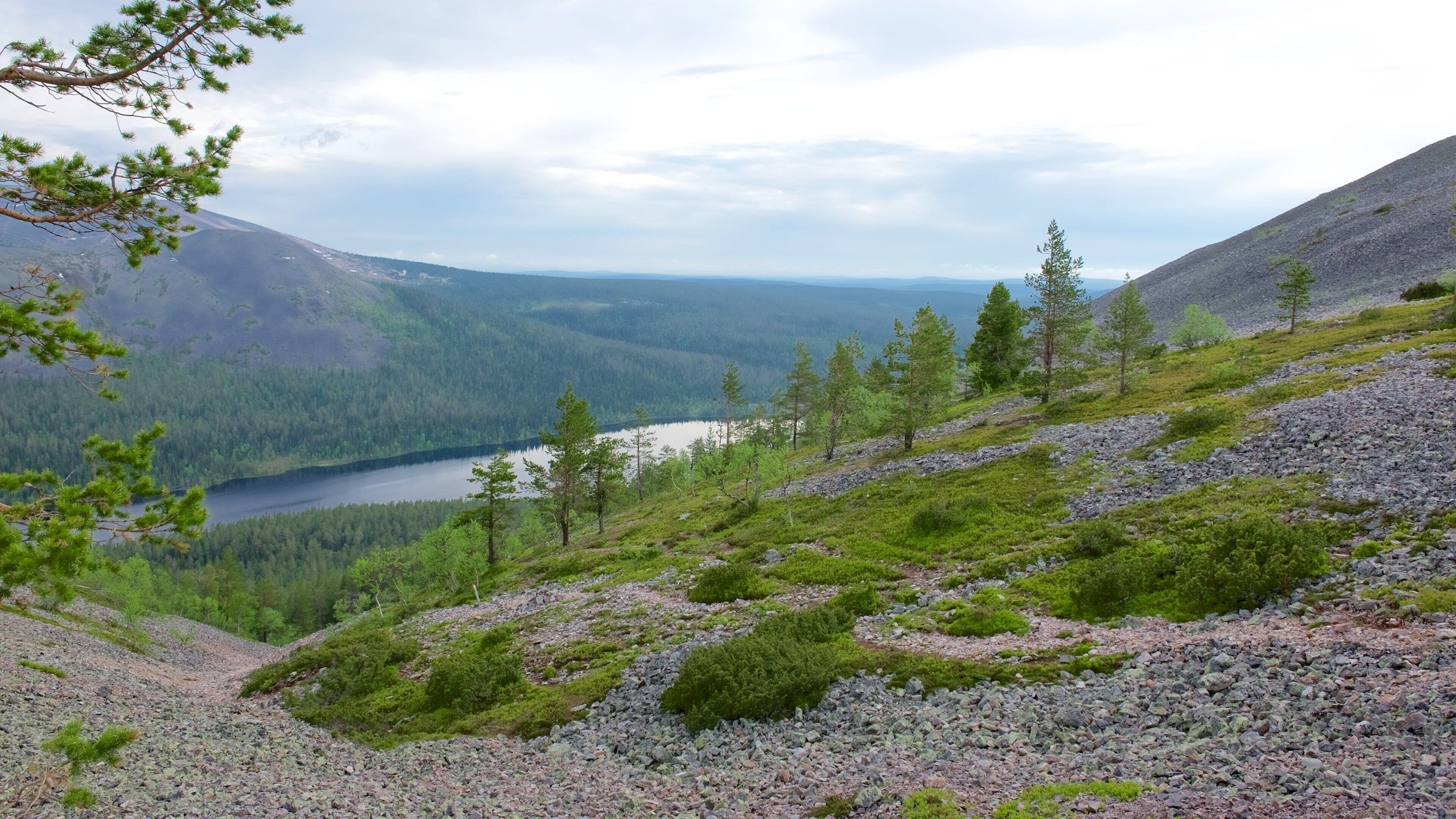 Een bergachtig landschap met een meer, dichte bossen en rotsachtig terrein.