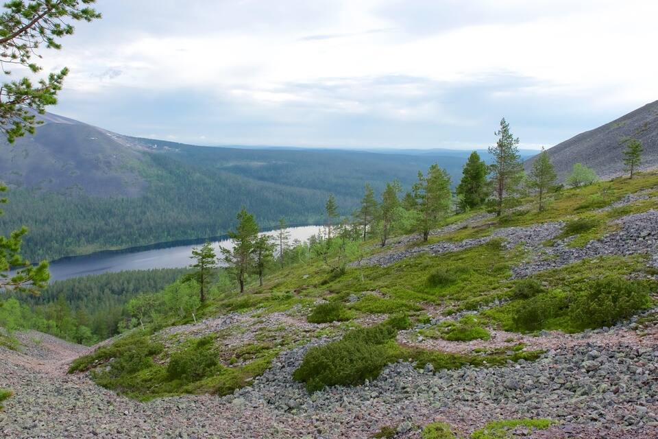 Een bergachtig landschap met een meer, dichte bossen en rotsachtig terrein.