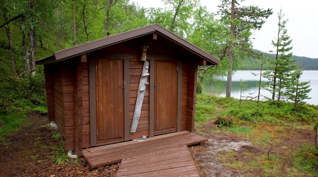 Pallas-Yllastunturi National Park featuring tranquil scenes and forest scenes