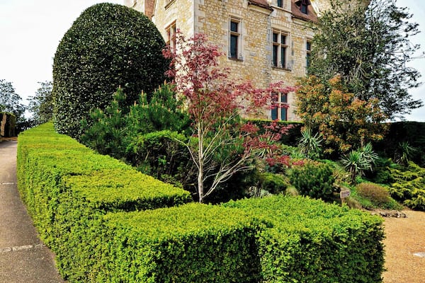 This will ever be known as the chateau of Josephine Baker.
She had been a singer of international renown with an extraordinary career. Born in the States in 1906, she emigrated to France and became a citizen in 1937 when she married a Jew, but not before knowing the street life in America where she’d had to sleep in cardboard shelters and scavenge in garbage bins.
For ten years she was the lead in the Folies Bergeres, and admired by all who saw her. Shirley Bassey once said, “I swear in all my life I have never seen, and probably never shall see again, such a spectacular singer and performer."
During WWII She won the Croix de Guerre for her work with the French Resistance. When the Germans invaded France she moved to the chateau where she helped Belgian refugees and ultimately adopted 12 children.
She was the first Afro-American to star in a major motion picture (Zouzou) and was the only female speaker in the civil rights march to Washington with Martin Luther King and was offered the lead in the movement when he was assassinated but she declined.
When the builders refurbishing the chateau sent her almost broke, Grace Kelly, a close friend, offered her accommodation on the Riviera.