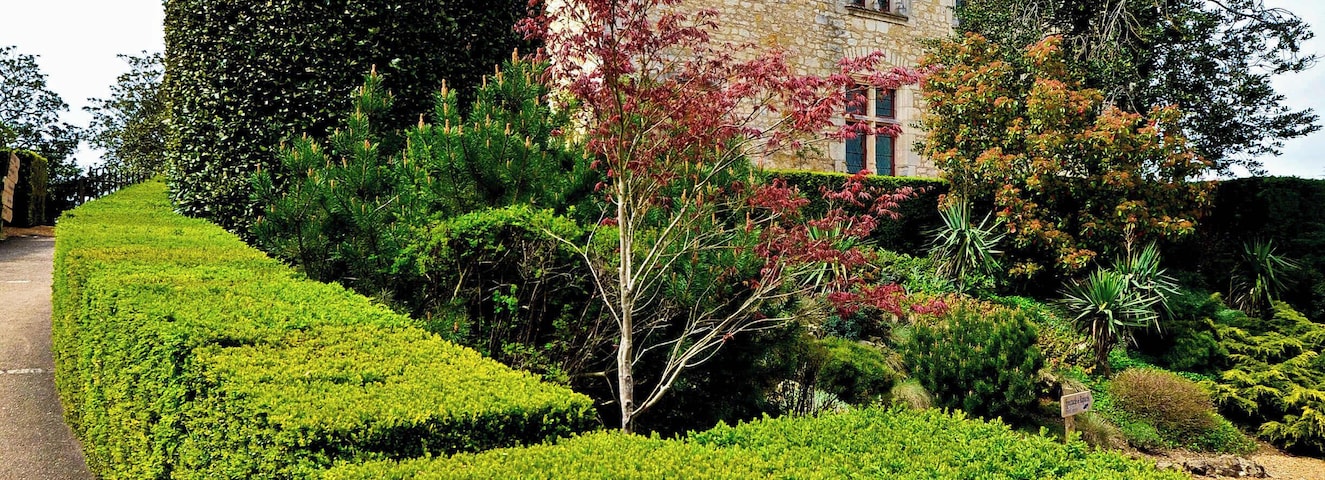 This will ever be known as the chateau of Josephine Baker.
She had been a singer of international renown with an extraordinary career.  Born in the States in 1906, she emigrated to France and became a citizen in 1937 when she married a Jew, but not before knowing the street life in America where she’d had to sleep in cardboard shelters and scavenge in garbage bins.
For ten years she was the lead in the Folies Bergeres, and admired by all who saw her.  Shirley Bassey once said, “I swear in all my life I have never seen, and probably never shall see again, such a spectacular singer and performer."  
During WWII She won the Croix de Guerre for her work with the French Resistance. When the Germans invaded France she moved to the chateau where she helped Belgian refugees and ultimately adopted 12 children.  
She was the first Afro-American to star in a major motion picture (Zouzou) and was the only female speaker in the civil rights march to Washington with Martin Luther King and was offered the lead in the movement when he was assassinated but she declined.
When the builders refurbishing the chateau sent her almost broke, Grace Kelly, a close friend, offered her accommodation on the Riviera.