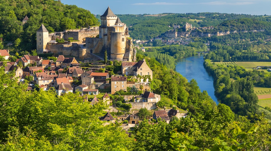 Castello di Castelnaud