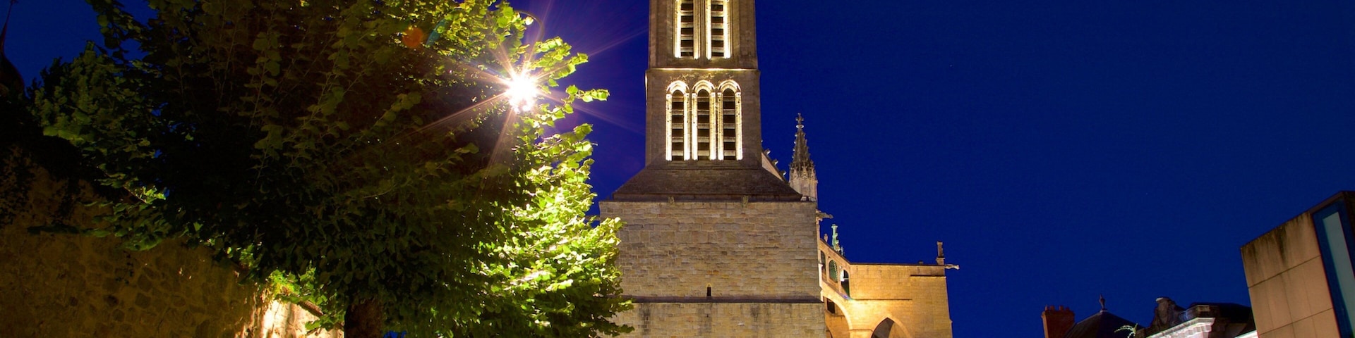 Limoges Cathedral showing night scenes, a church or cathedral and heritage architecture