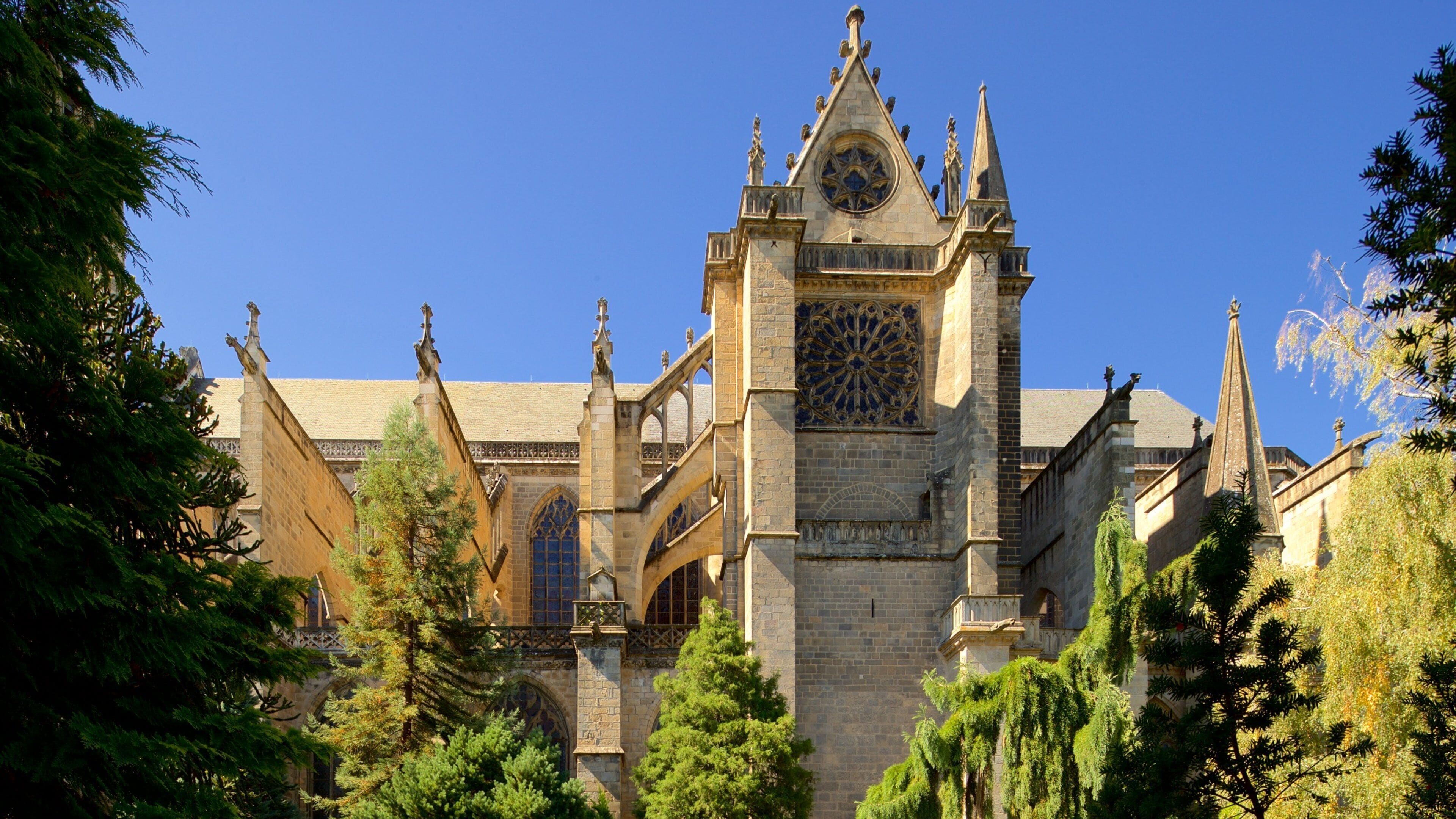 A historic cathedral with pointed arches, a clock tower, and intricate stained glass windows.