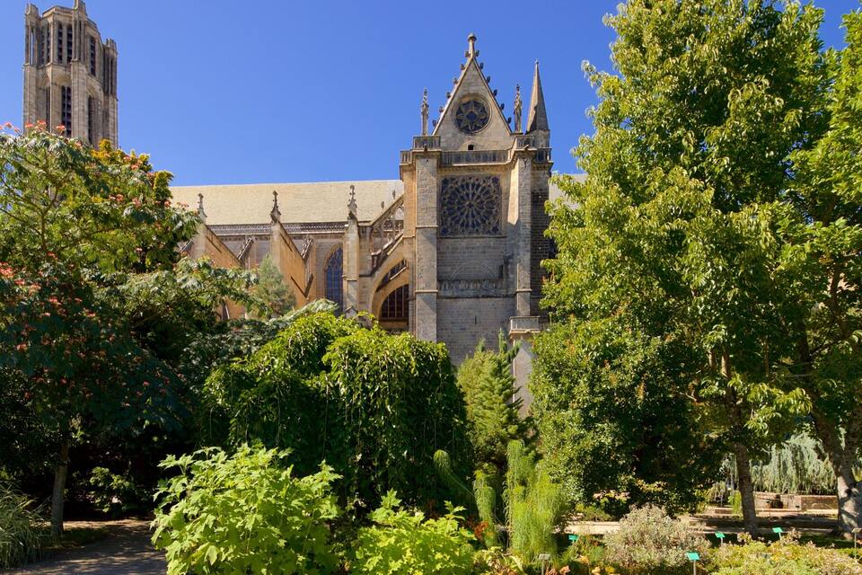 Een historisch kerkgebouw met een hoge toren en gedetailleerde architectuur, omgeven door weelderig groen en bloeiende planten.