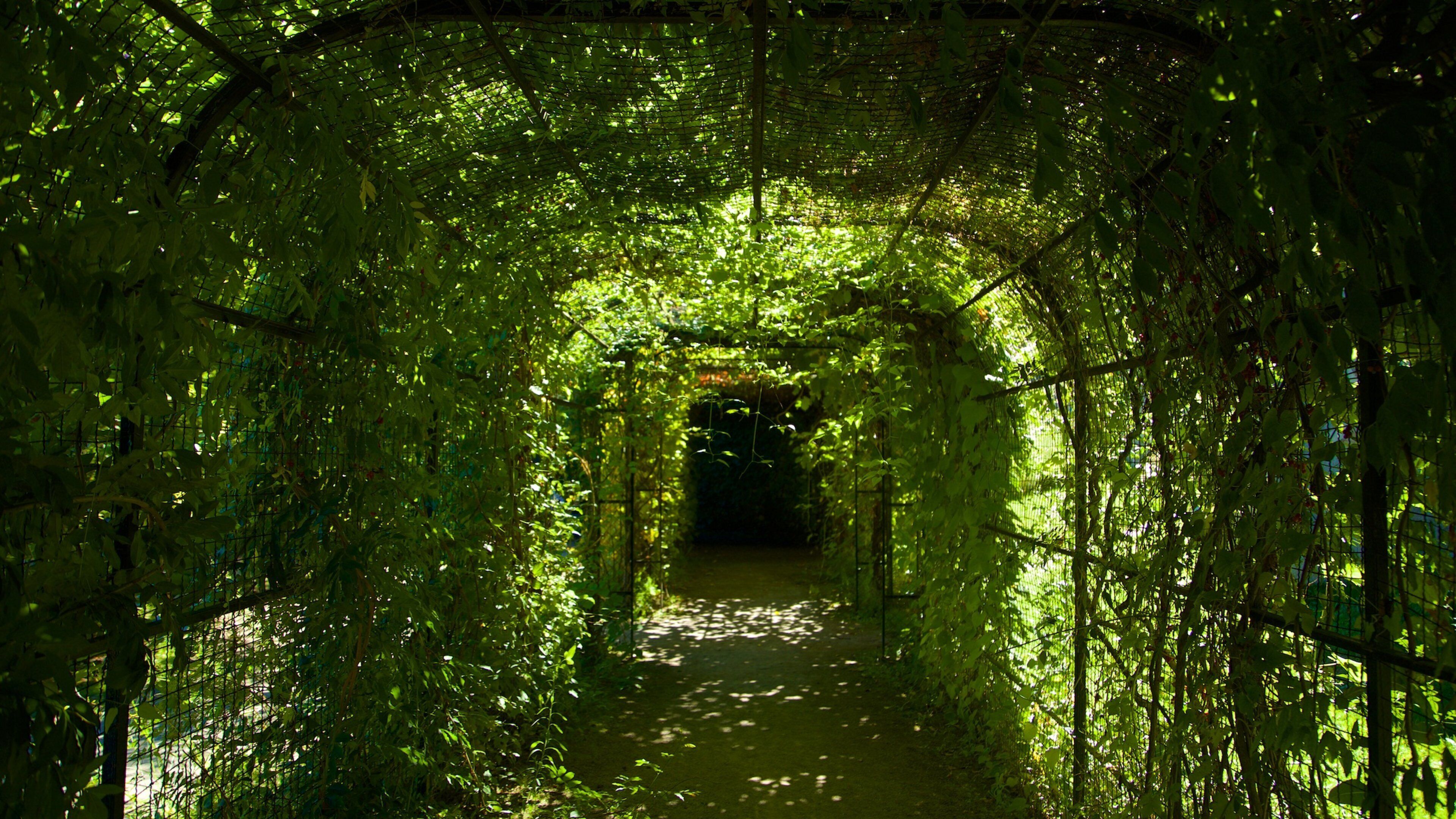 Jardin de l\'Eveche which includes a garden