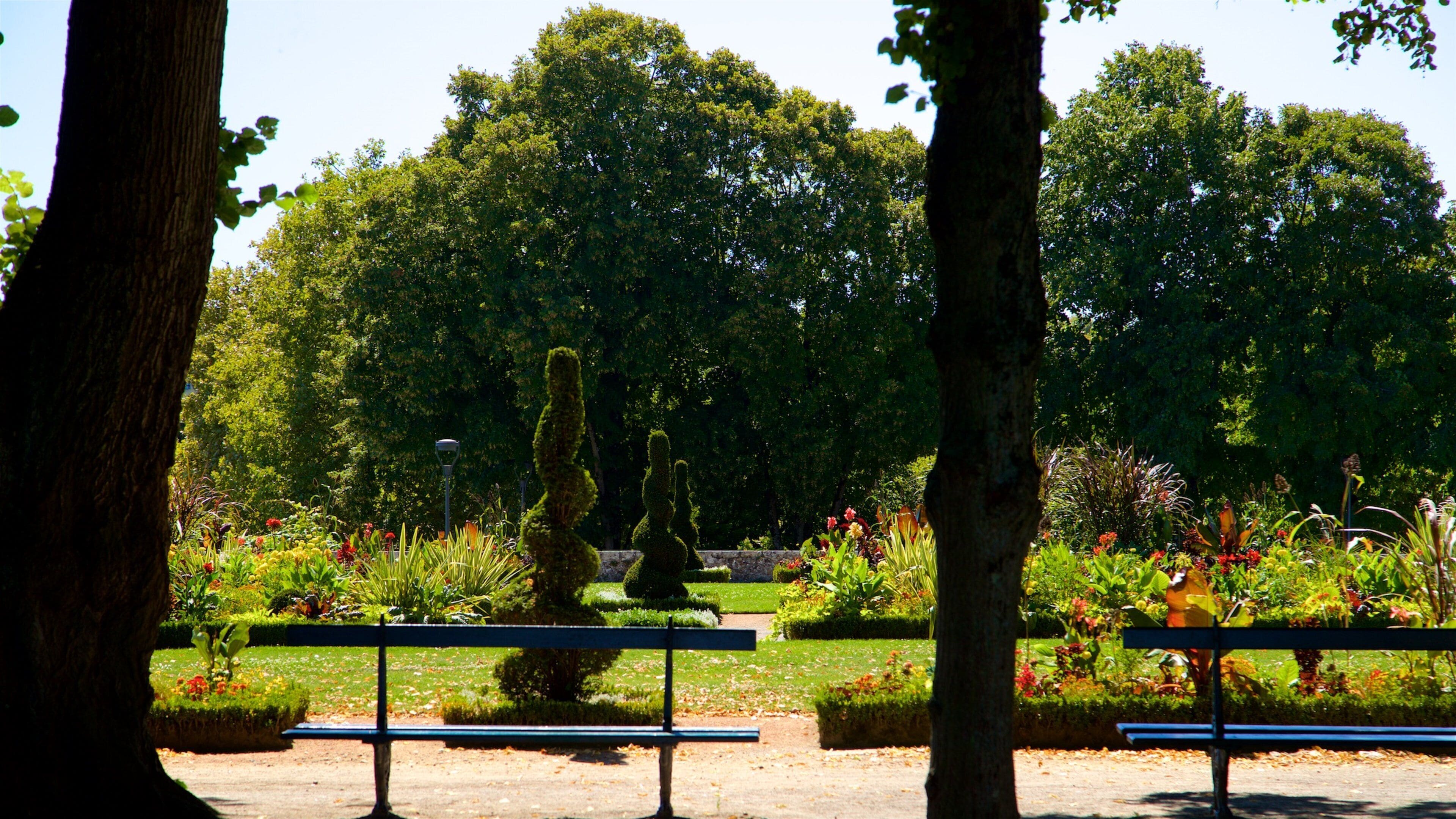 Jardin de l\'Eveche som viser en have og vilde blomster