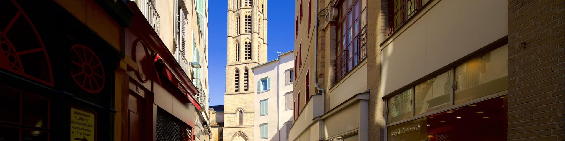 Eglise Saint-Michel-des-Lions montrant patrimoine architectural et ville