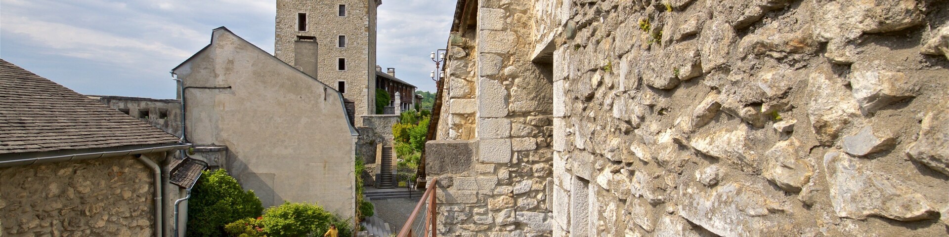 Chateau Fort Pyreneen Museum showing heritage architecture