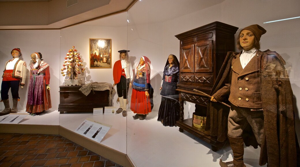 Chateau Fort Pyreneen Museum showing interior views