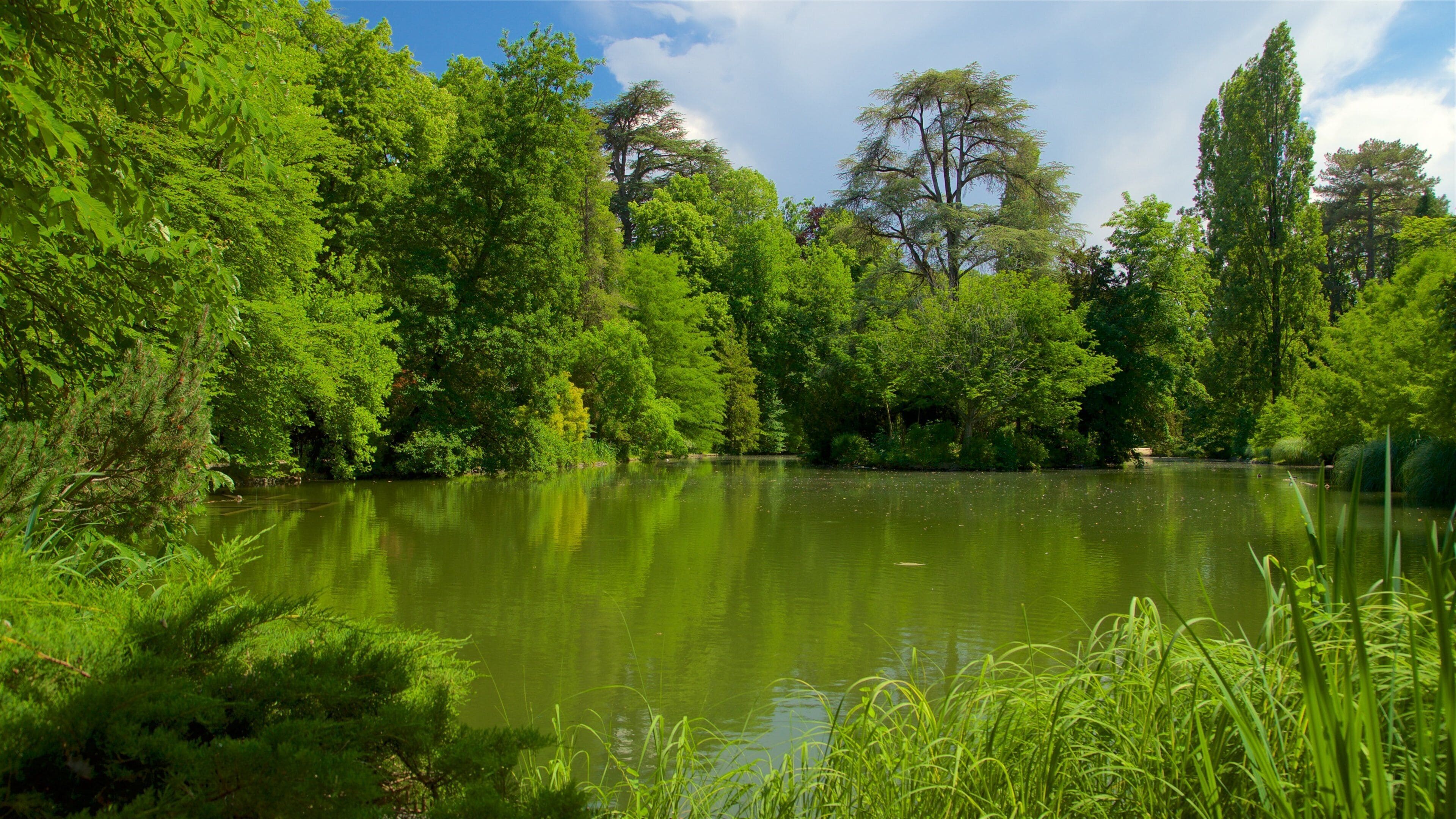 梅西花園 其中包括 池塘