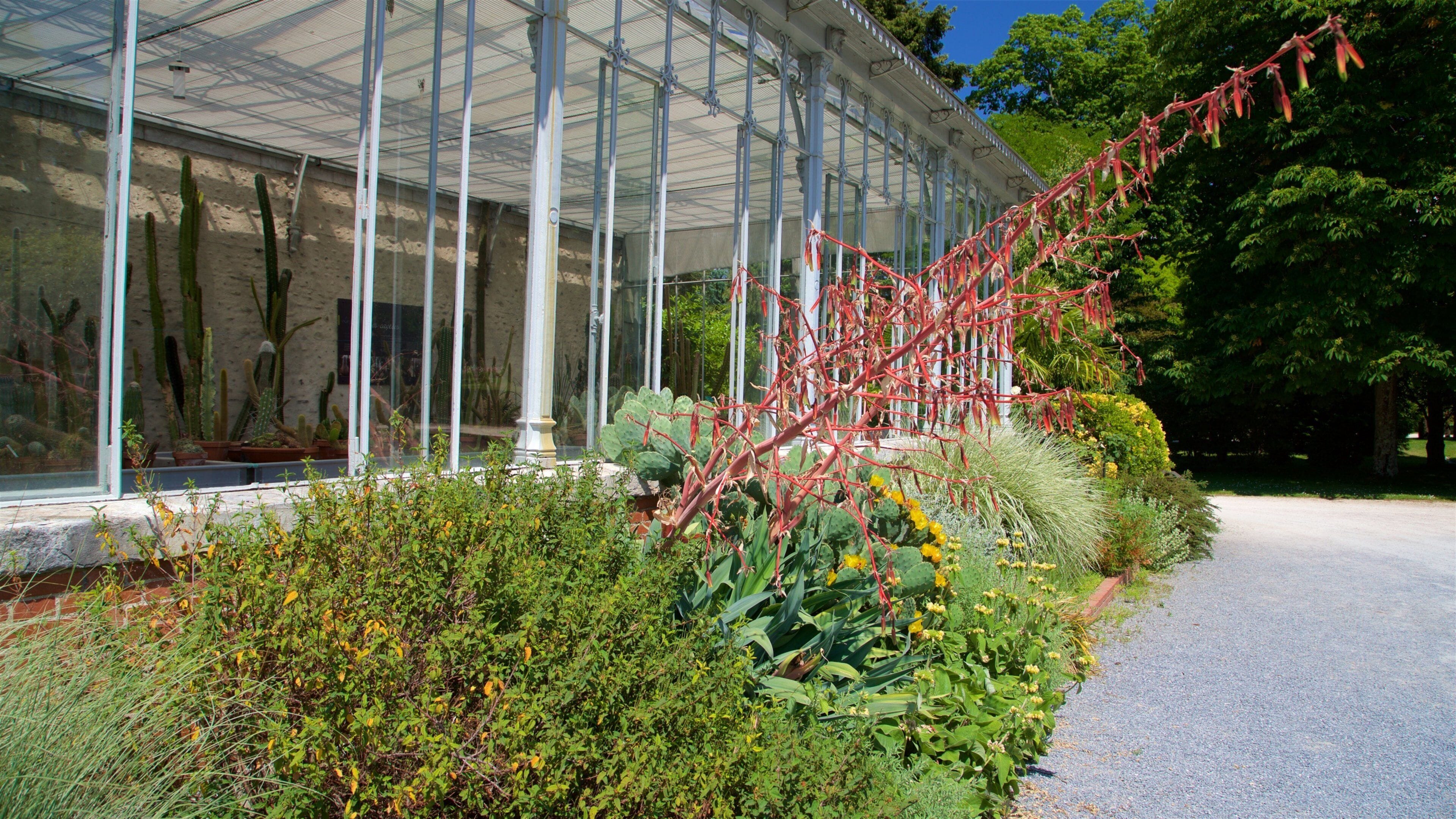 Jardin Massey som inkluderar en trÀdgÄrd och blommor