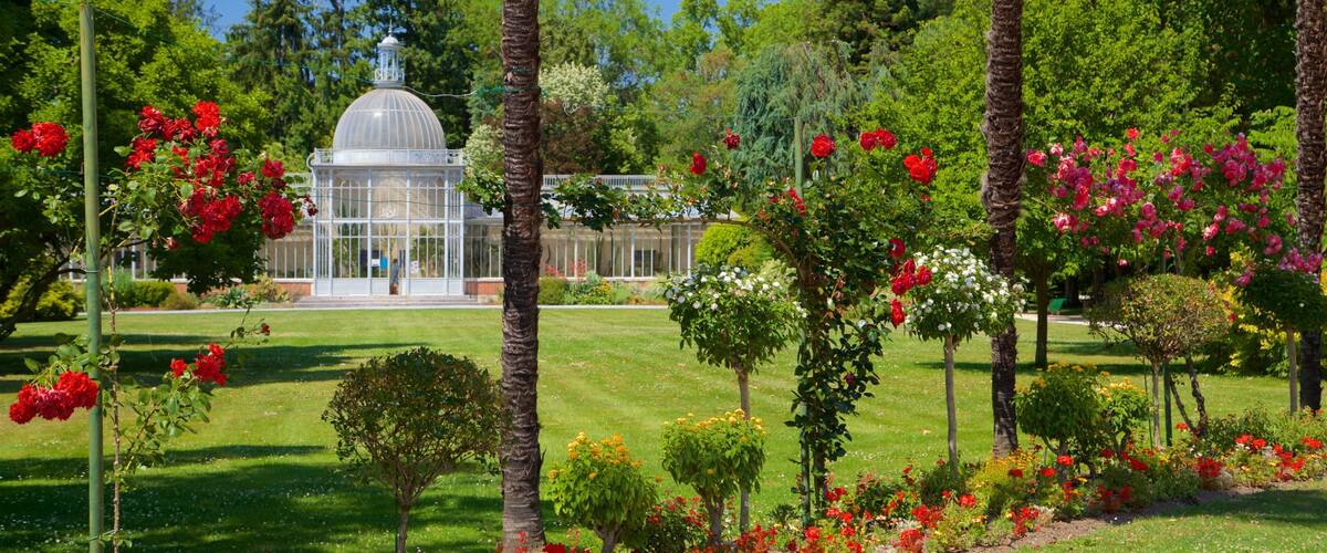 Massey Garden featuring a park and wild flowers