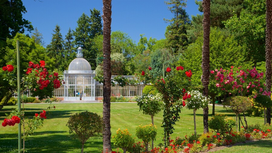 Massey Garden which includes wildflowers and a garden