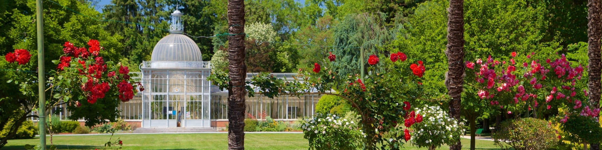梅西花園 设有 野花 和 花園