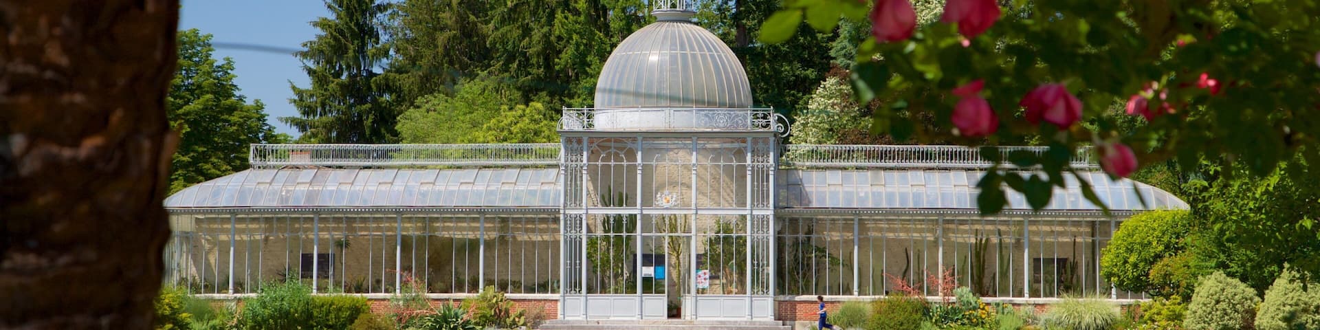 Jardin Massey mit einem Park und Wildblumen