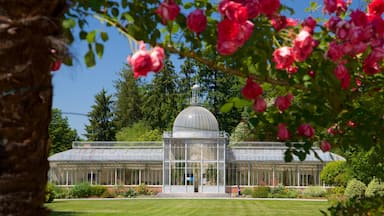A glasshouse with a dome roof surrounded by lush greenery and pink roses.